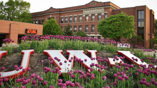 University Official Chided After Sending Students Sexy Deadspin Article on Female Orgasm